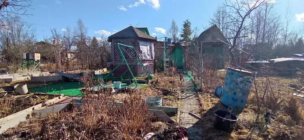 Участок в Ленинградская область, Лужский район, Мшинское с/пос, ... - Фото 2