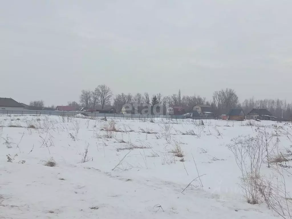 Участок в Башкортостан, Чишминский район, Сафаровский сельсовет, д. ... - Фото 1