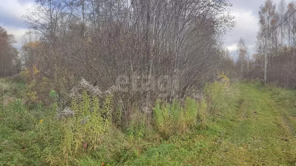 Участок в Псковская область, Псковский район, Логозовская волость, ... - Фото 1