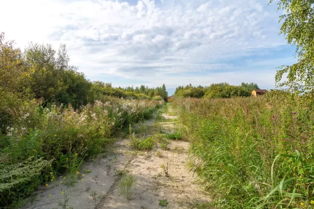 Участок в Тюменская область, Нижнетавдинский муниципальный округ, ... - Фото 1