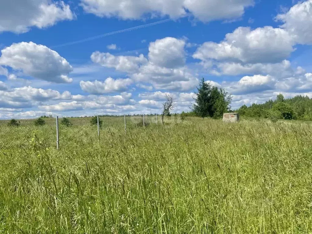 Участок в Смоленская область, Смоленский муниципальный округ, д. ... - Фото 1