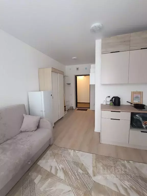 Студия Свердловская область, Екатеринбург ул. Крауля, 107/2 (21.0 м) - Фото 1