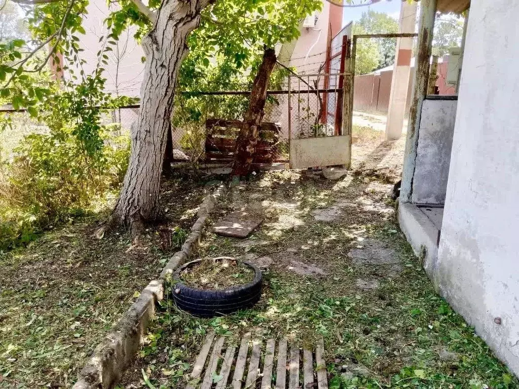 Участок в Краснодарский край, Новороссийск Цемдолина тер., ул. ... - Фото 1