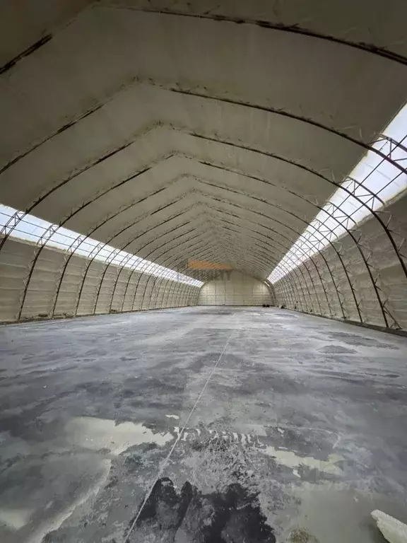 Склад в Московская область, Раменский муниципальный округ, Промпарк ... - Фото 1