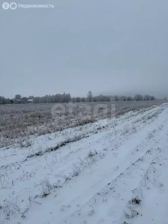 Участок в Щёкинский район, сельское поселение Огарёвское (15 м) - Фото 0