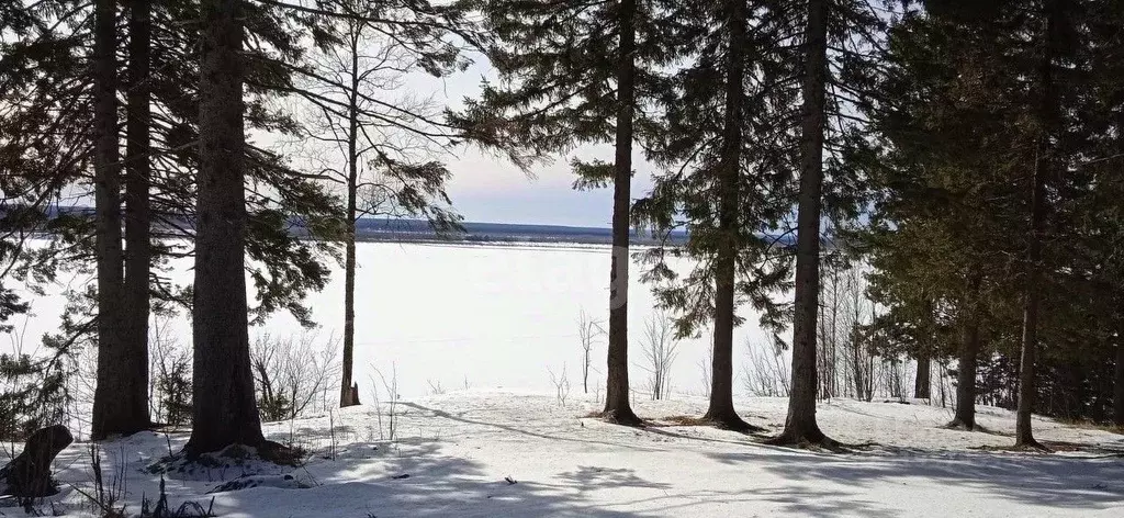 Участок в Коми, Усть-Цилемский район, Коровий Ручей муниципальное ... - Фото 0