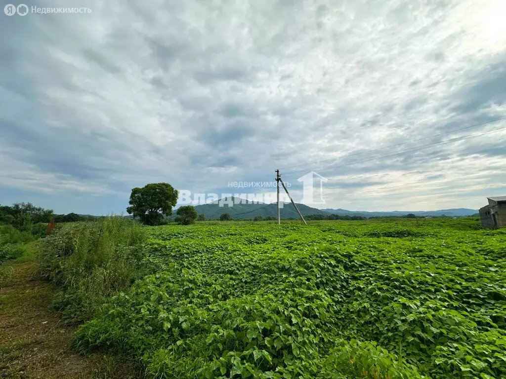 Участок в Золотая Долина, Центральная улица, 117 (15 м) - Фото 2