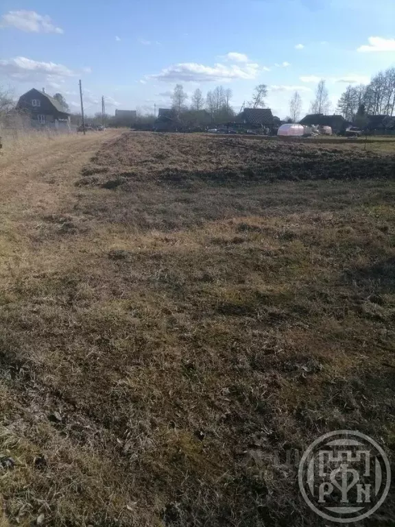 Дом в Ленинградская область, Лужский район, Ям-Тесовское с/пос, д. ... - Фото 1