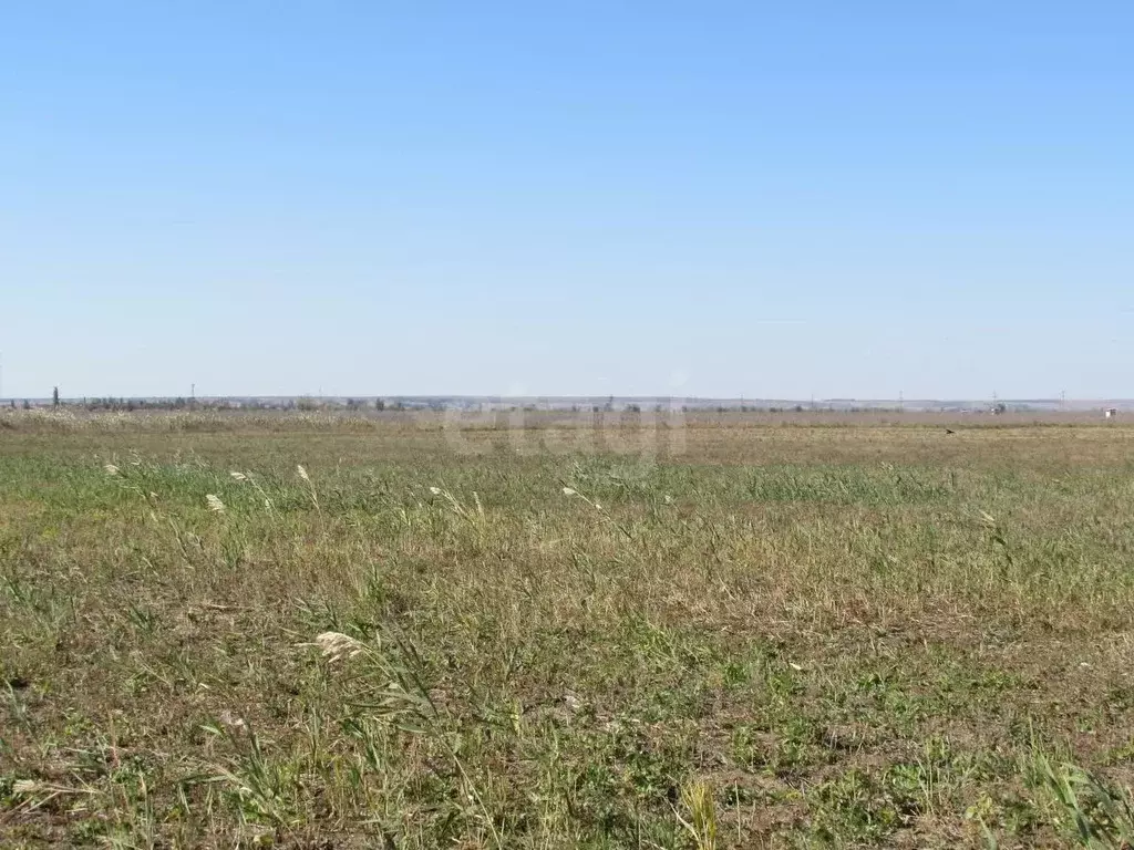 Участок в Волгоградская область, Быковский район, Новоникольское ... - Фото 1
