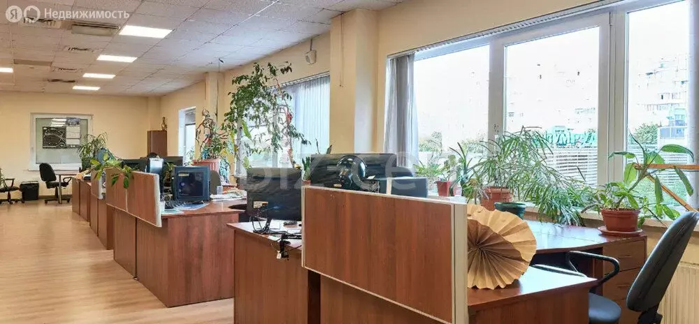 Офис (49.1 м) - Фото 1