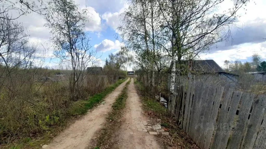 Участок в Новгородская область, Новгородский район, Панковское ... - Фото 1