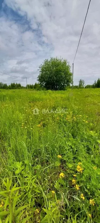 Участок в Марий Эл, Йошкар-Ола городской округ, д. Шоя-Кузнецово ул. ... - Фото 1