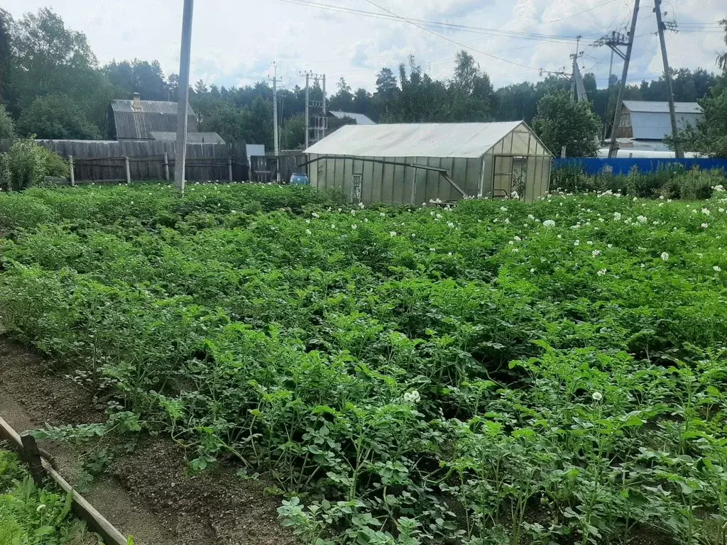 Дом в Свердловская область, Екатеринбург Серебряный Родник КС,  (15 м) - Фото 2