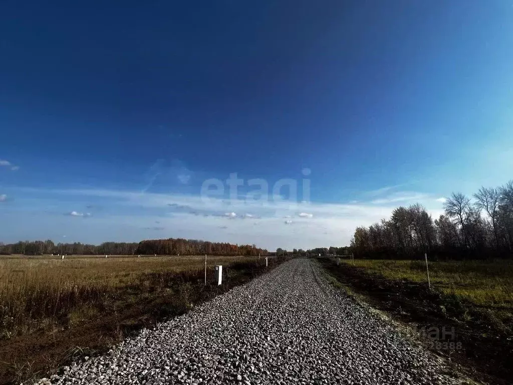 Участок в Тюменская область, Тюменский муниципальный округ, ... - Фото 1
