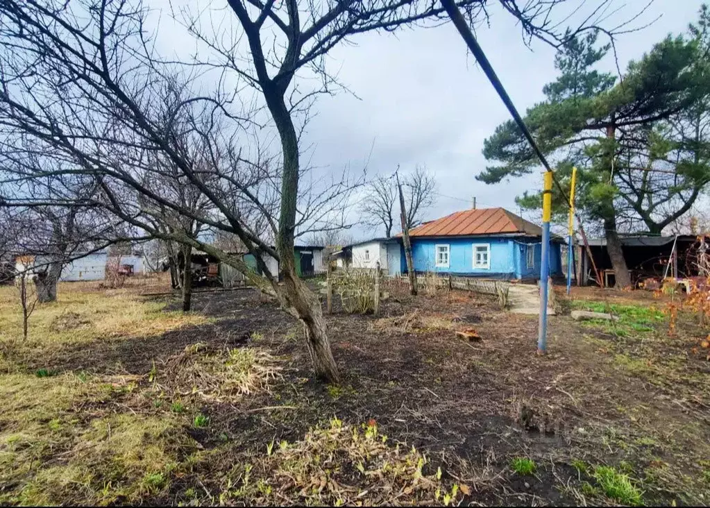 Дом в Курская область, Щигры Курская ул., 35 (41 м) - Фото 1