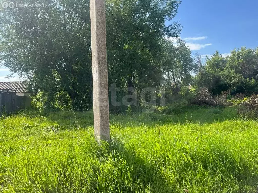 Участок в Борисоглебск, улица Фрунзе (12.8 м) - Фото 2