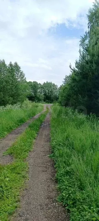Участок 2,3 га (СНТ, ДНП) - Фото 1