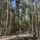Дача 55 м на участке 10,5 сот. - Фото 0