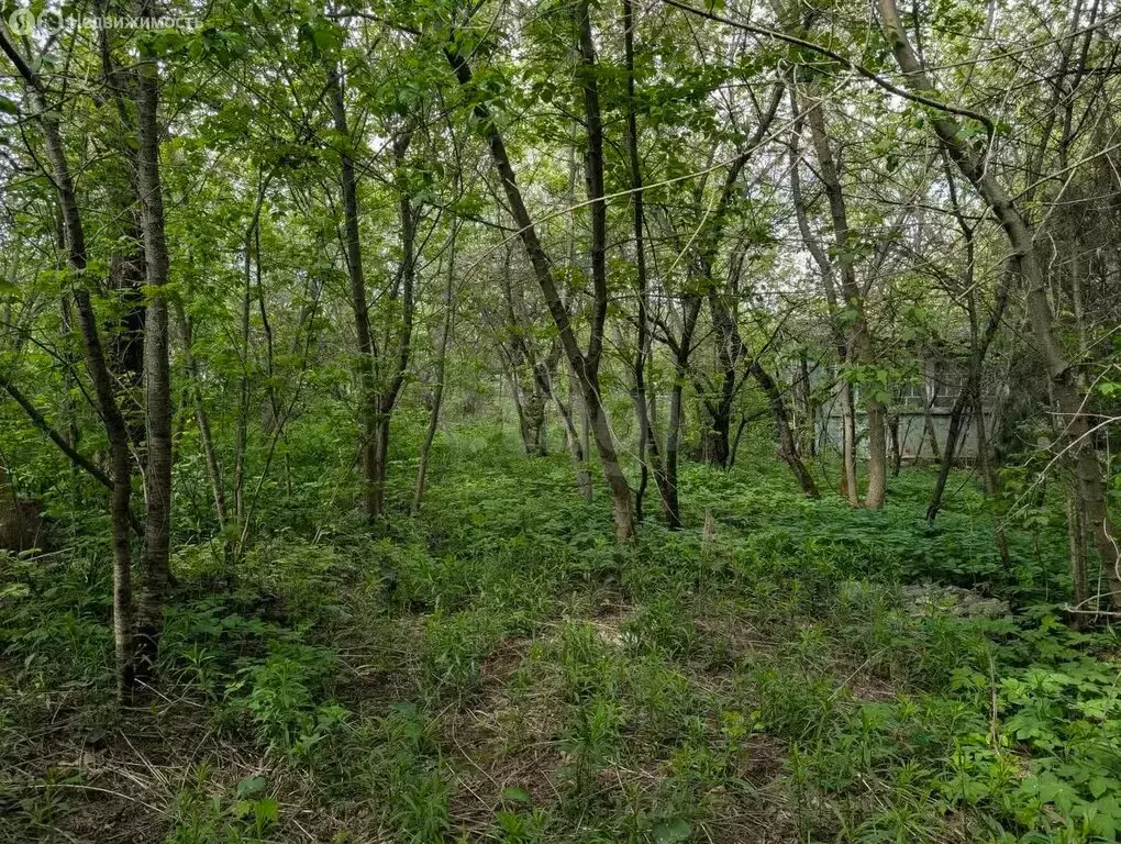 Участок в Тула, СНТ Строитель Туласовхозстрой (6.72 м) - Фото 1