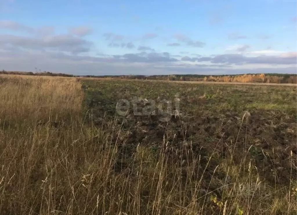 Участок в Курская область, Курский район, Нижнемедведицкий сельсовет, ... - Фото 1