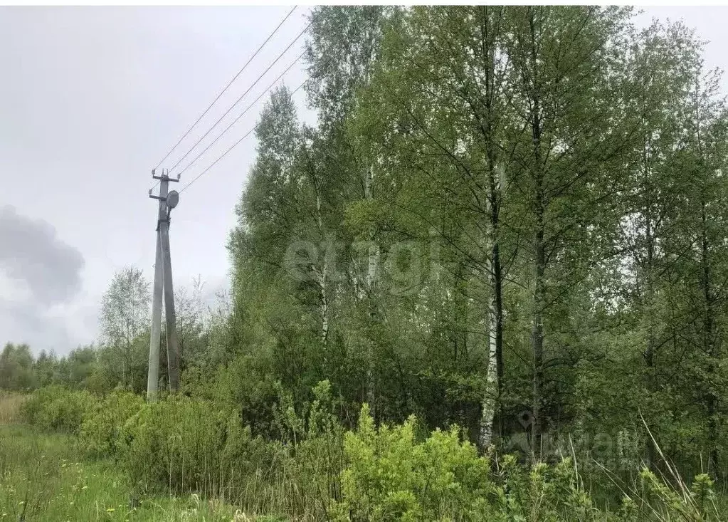 Участок в Московская область, Дмитровский муниципальный округ, Репка ... - Фото 1
