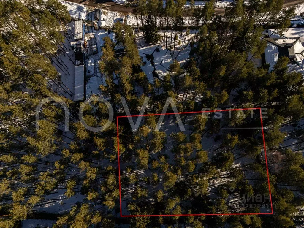 Участок в Ленинградская область, Всеволожский район, Бугровское ... - Фото 2