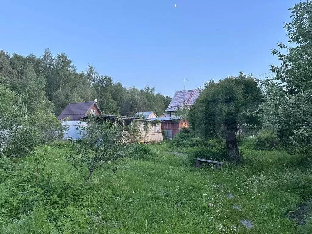 Участок 6 сот. (СНТ, ДНП) - Фото 0