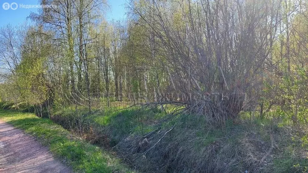 Участок в Ленинградская область, Подпорожское городское поселение, ... - Фото 1