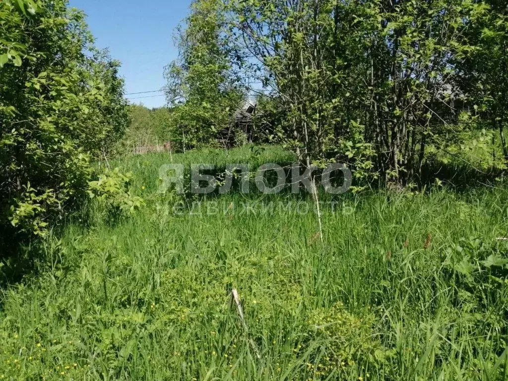 Участок в Пермский край, Березники пос. Круглый Рудник, ул. ... - Фото 2