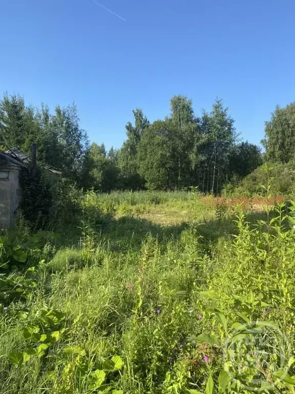 Участок в Санкт-Петербург пос. Усть-Ижора, Станционная ул., 47 (11.9 ... - Фото 1
