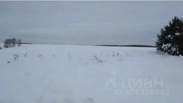 Участок в Московская область, Коломна городской округ, д. Дубна  (15.0 ... - Фото 1