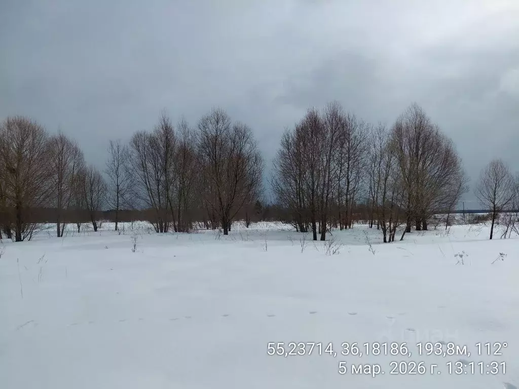 Участок в Московская область, Наро-Фоминский городской округ, д. ... - Фото 1