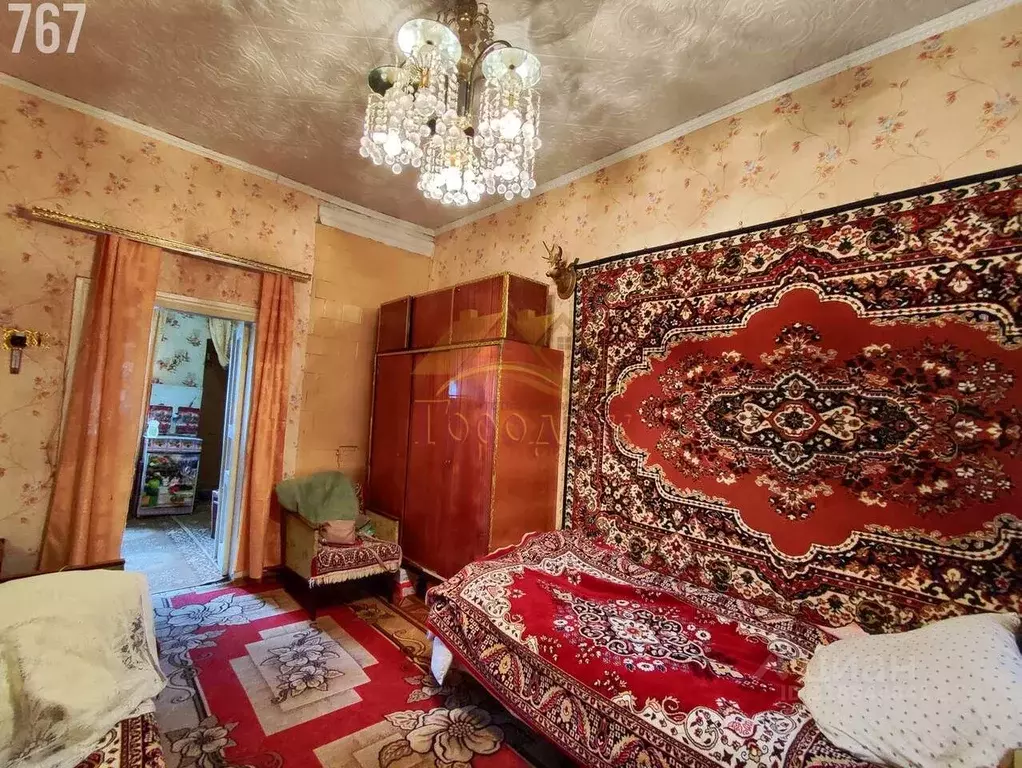 1-к кв. Воронежская область, Борисоглебск ул. Пешкова (22.6 м) - Фото 1