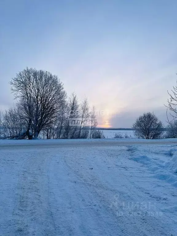 Участок в Московская область, Сергиево-Посадский городской округ, ... - Фото 2