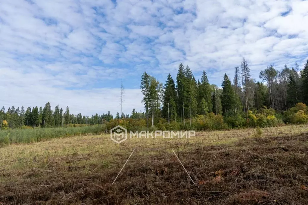 Участок в Московская область, Истра городской округ, д. Бужарово ул. ... - Фото 1