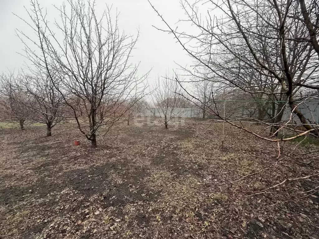 Участок в Белгородская область, Белгородский район, Дубовское с/пос, ... - Фото 0