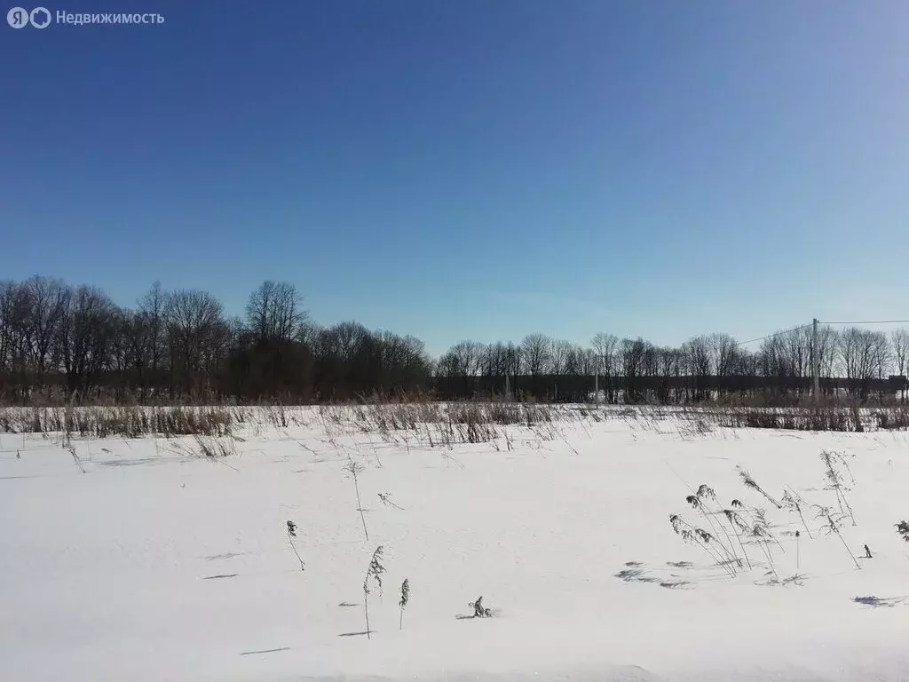 Участок в село Порецкое, Новая улица, 14А (15 м) - Фото 0