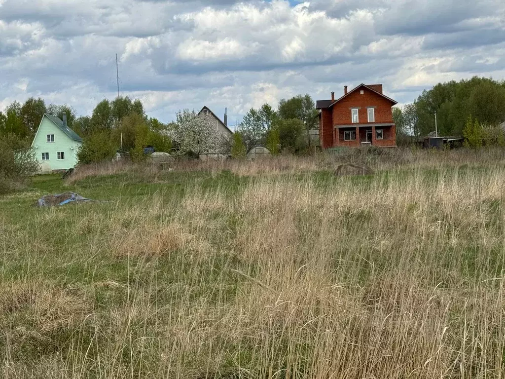 Участок в Московская область, Богородский городской округ, д. Старые ... - Фото 1