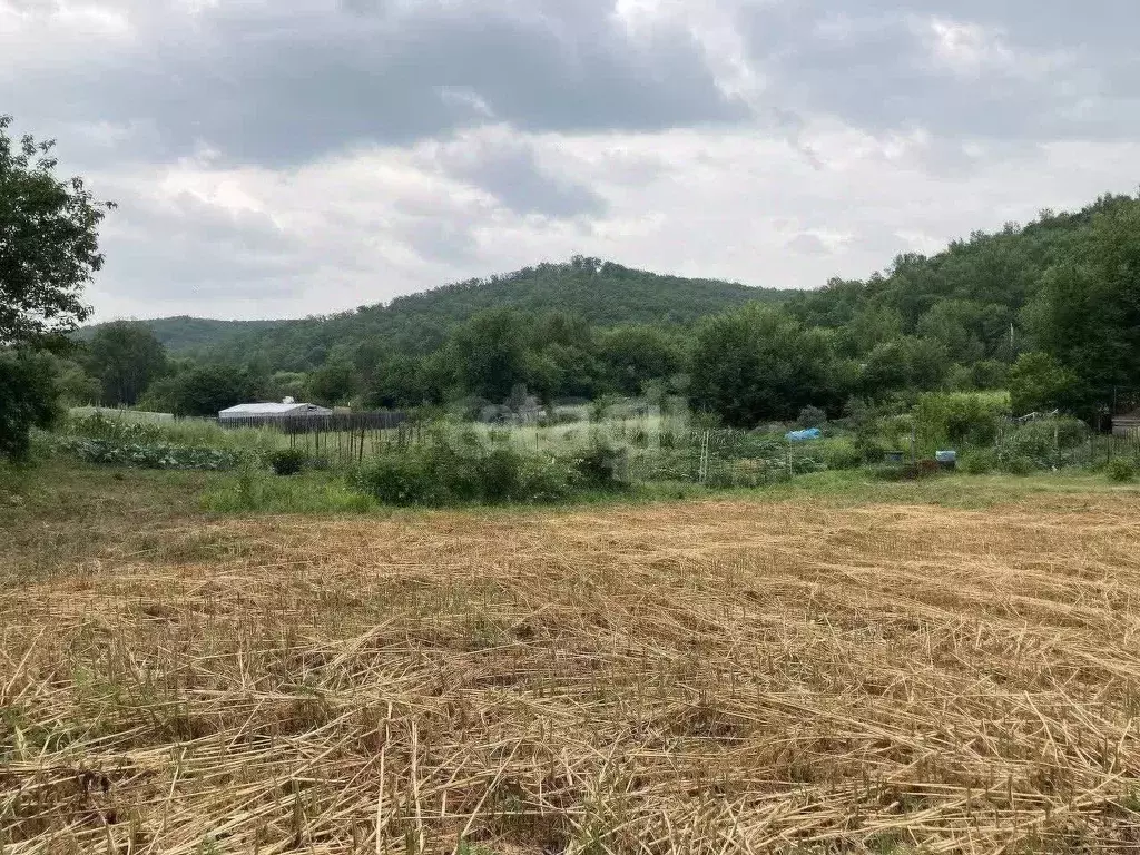 Участок в Амурская область, Благовещенский район, Березка СНТ  (10.0 ... - Фото 1