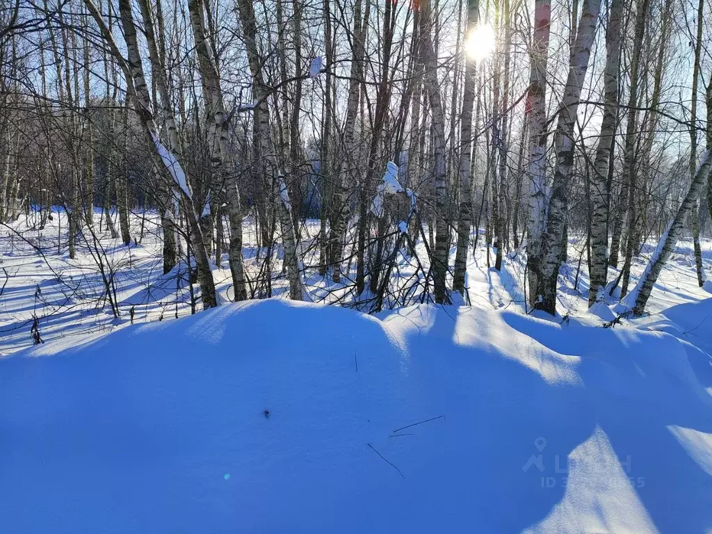 Участок в Московская область, Раменский муниципальный округ, с. ... - Фото 2