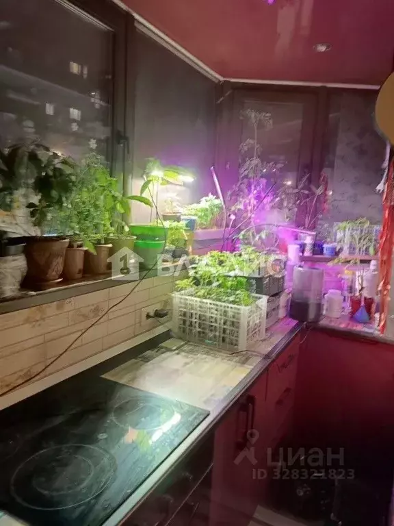 1-к кв. Московская область, Ленинский городской округ, Лопатино пгт ... - Фото 2