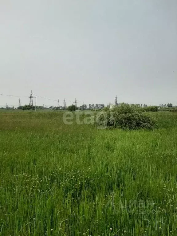 Участок в Амурская область, Благовещенский район, с. Волково  (58.9 ... - Фото 1