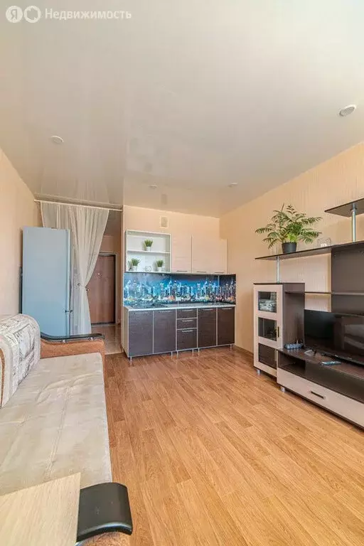 Квартира-студия: село Засечное, Светлая улица, 11 (28 м) - Фото 1