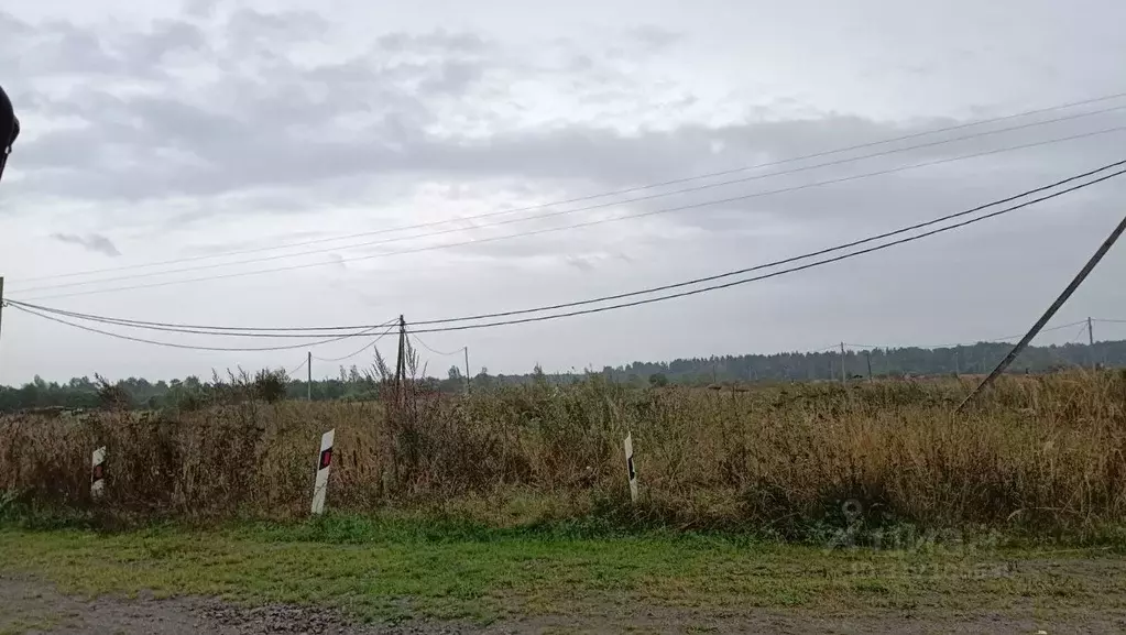 Участок в Ленинградская область, Тосненское городское поселение, ... - Фото 1