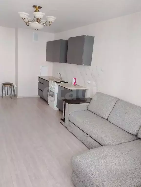 Студия Ростовская область, Ростов-на-Дону ул. Юрия Дубинина, 9 (30.0 ... - Фото 1