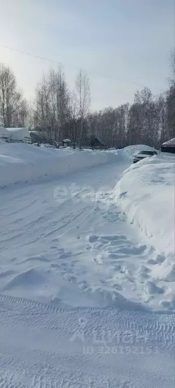 Участок в Новосибирская область, Новосибирский район, Каменский ... - Фото 1