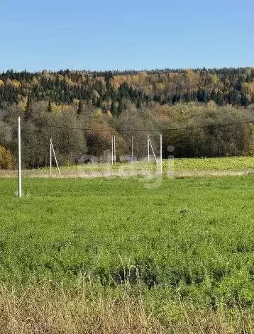 Участок в Пермский край, Пермский муниципальный округ, Полюдовский ... - Фото 1
