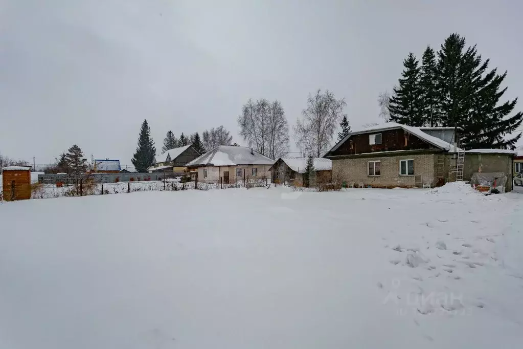 Участок в Новосибирская область, Новосибирский район, Верх-Тулинский ... - Фото 1