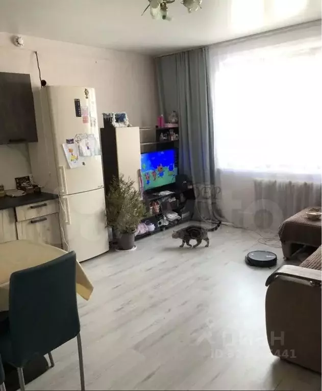 Дом в Алтай, Горно-Алтайск Рассветная ул. (48 м) - Фото 2