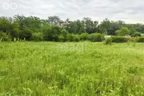 Участок в Пермский муниципальный округ, квартал Придорожный, ... - Фото 1